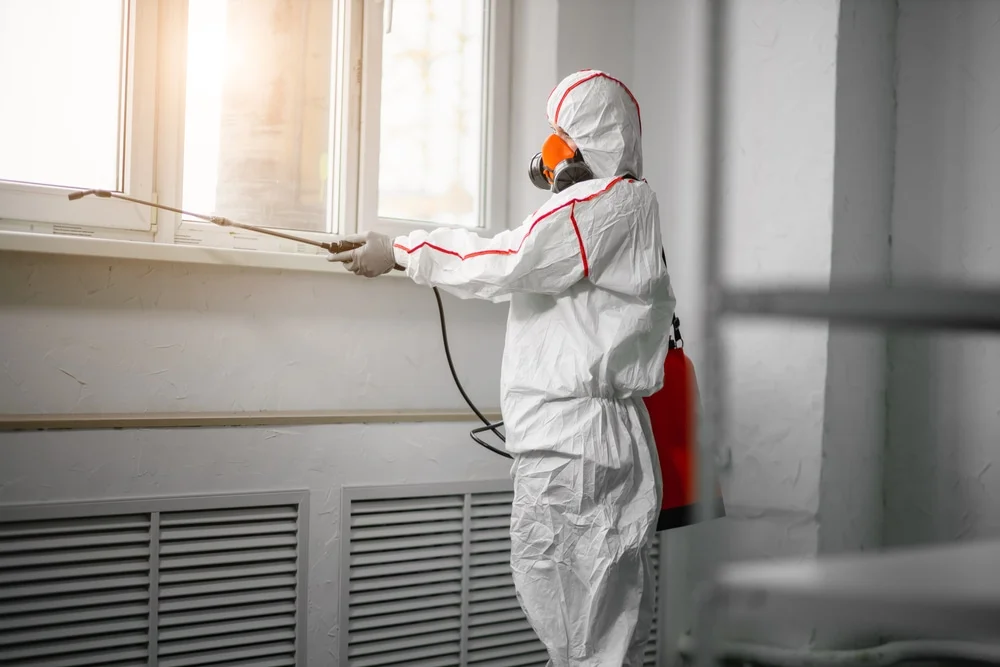 Professional mold remediation services in Winsted, CT